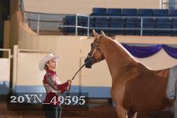 20YN_49595 proof