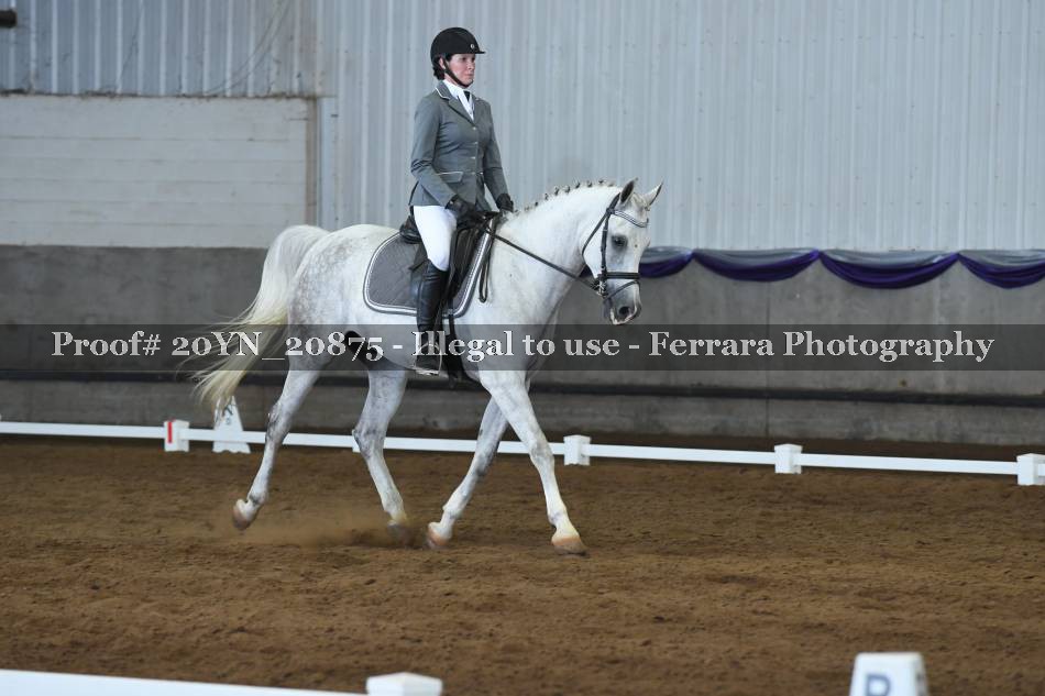 Proof 20YN_20875