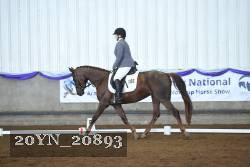 20YN_20893 proof