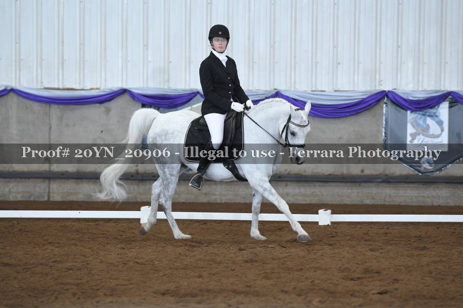 Proof 20YN_20906