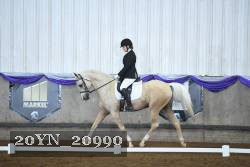 20YN_20990 proof