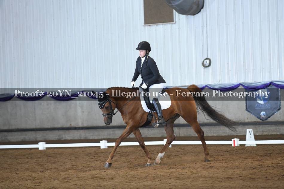 Proof 20YN_21045