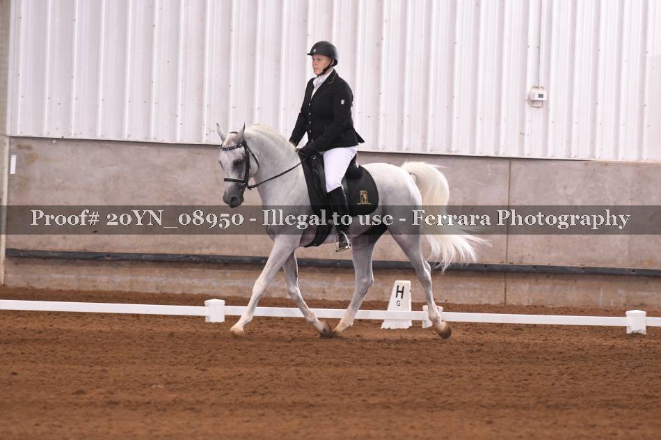 Proof 20YN_08950
