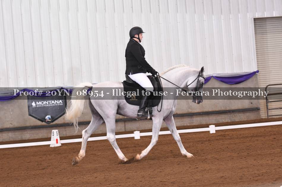 Proof 20YN_08954