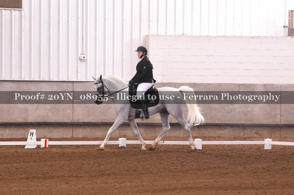 Proof 20YN_08955