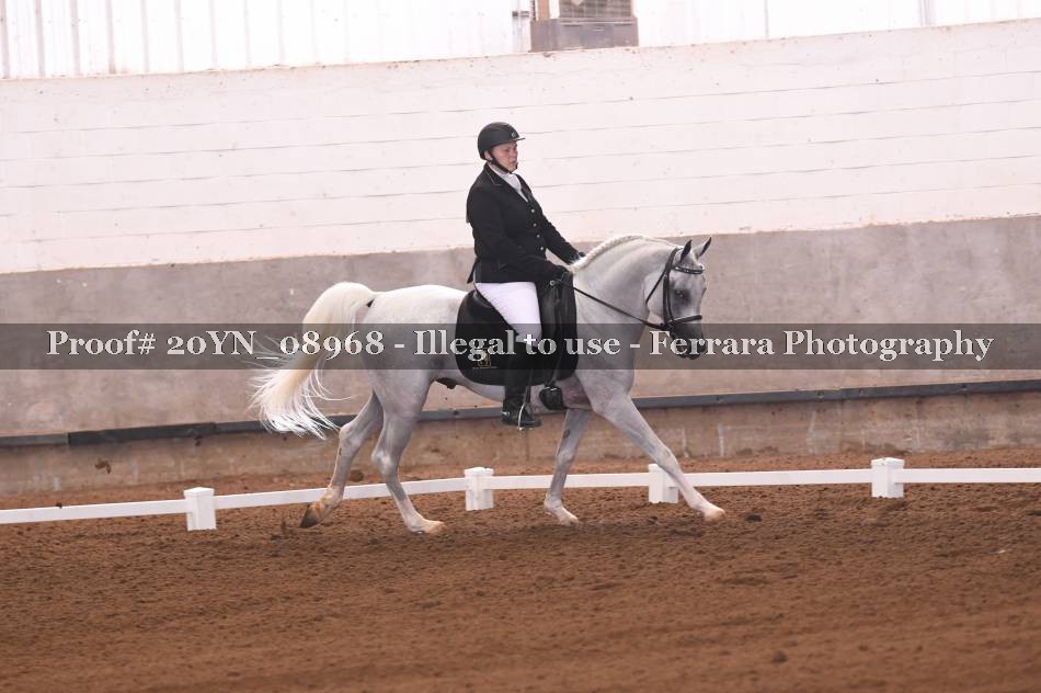 Proof 20YN_08968