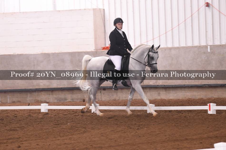 Proof 20YN_08969