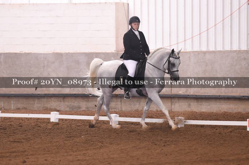 Proof 20YN_08973