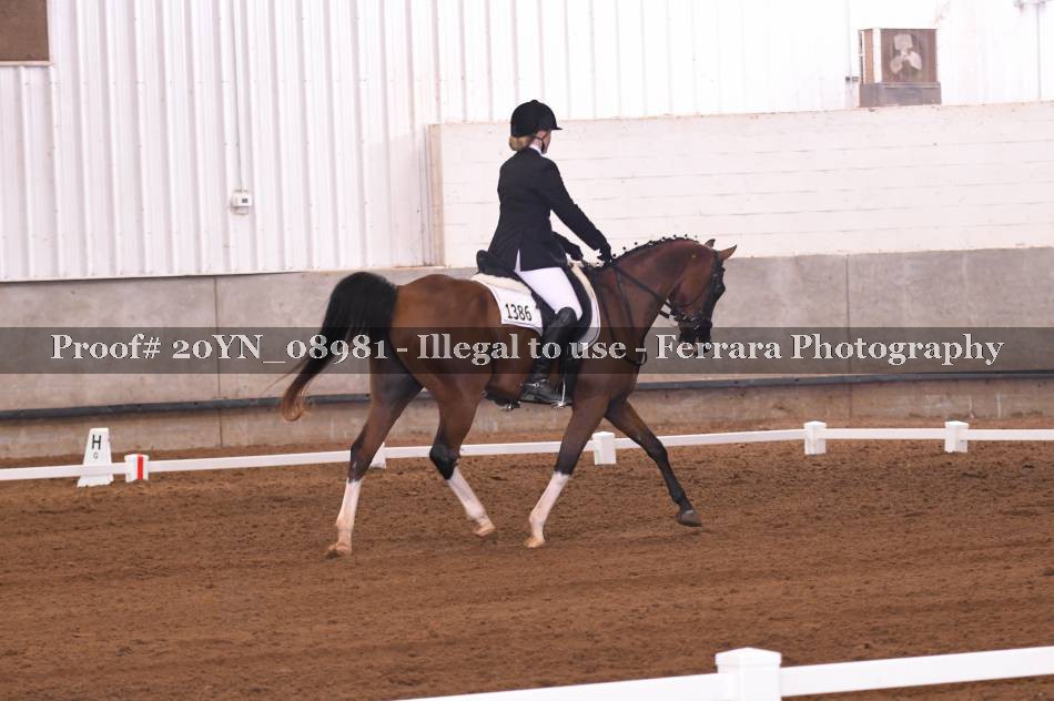 Proof 20YN_08981