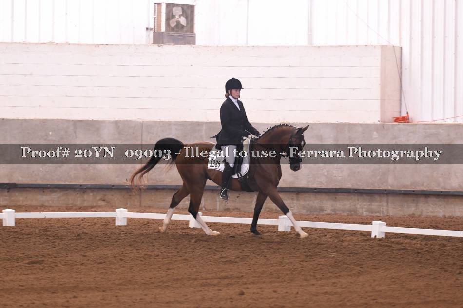 Proof 20YN_09003