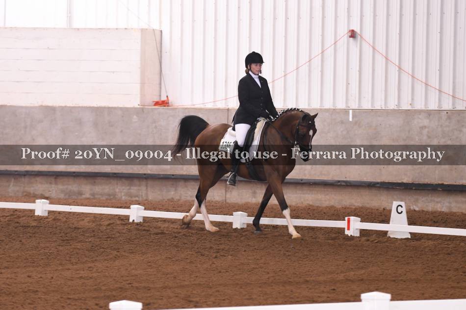 Proof 20YN_09004