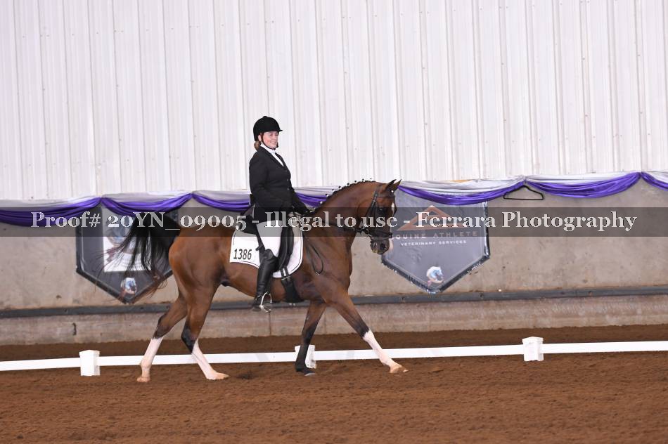 Proof 20YN_09005