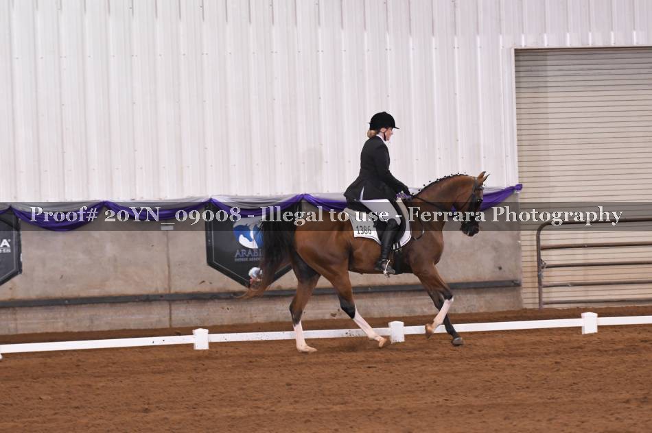 Proof 20YN_09008