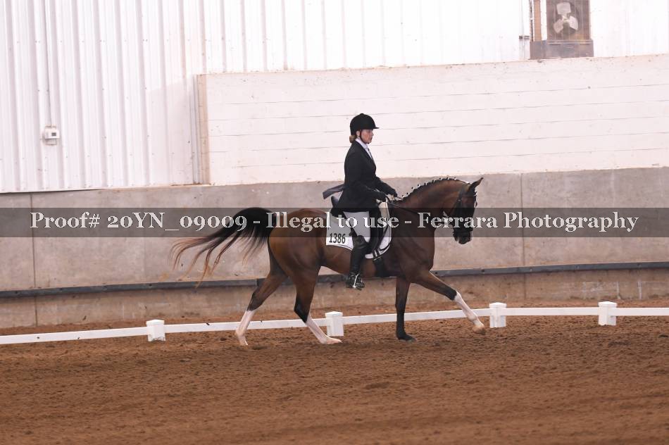 Proof 20YN_09009
