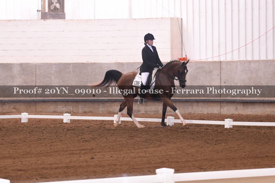 Proof 20YN_09010
