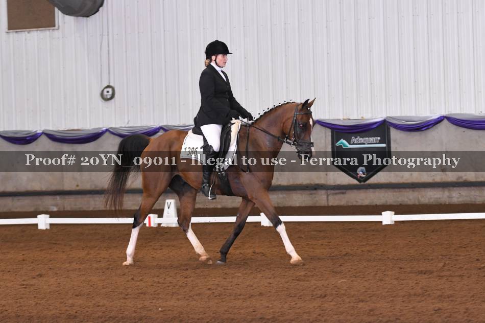 Proof 20YN_09011