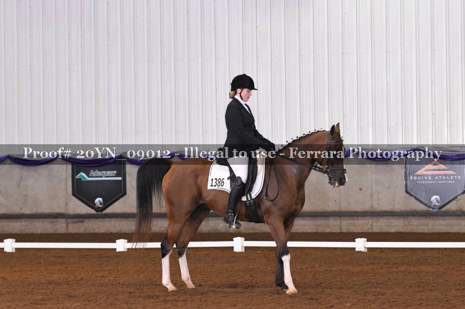 Proof 20YN_09012