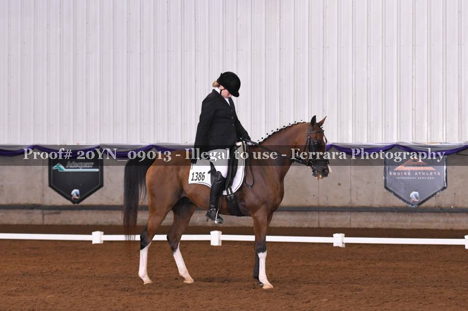 Proof 20YN_09013