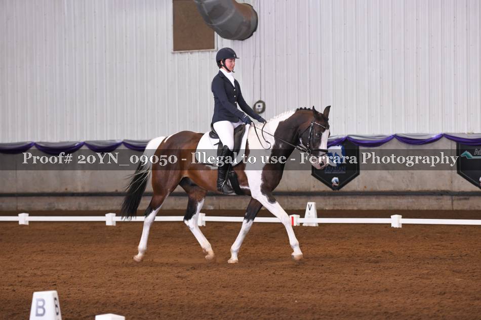 Proof 20YN_09050