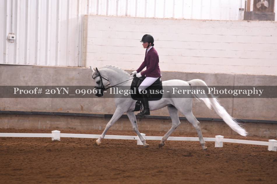 Proof 20YN_09061