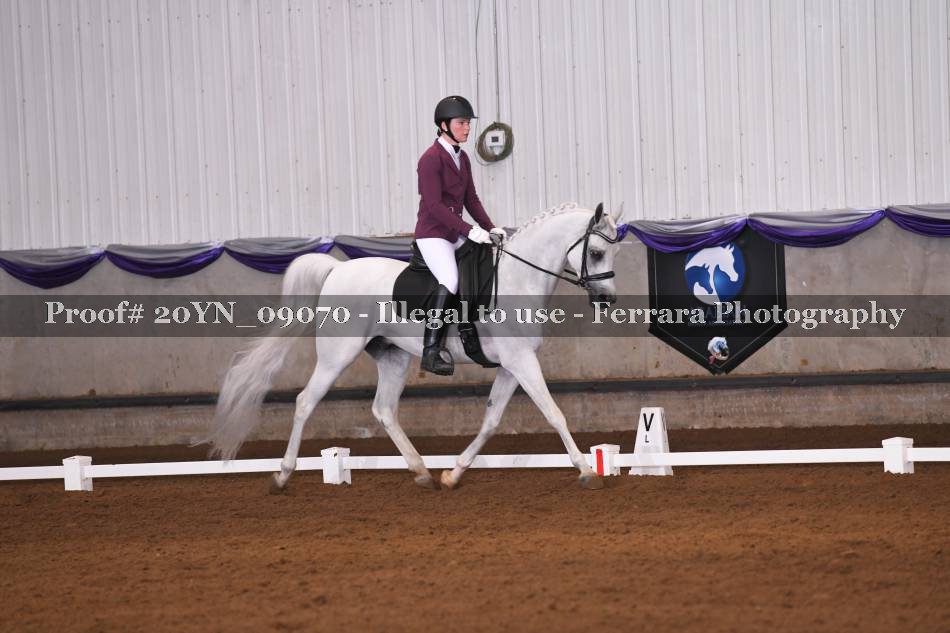 Proof 20YN_09070