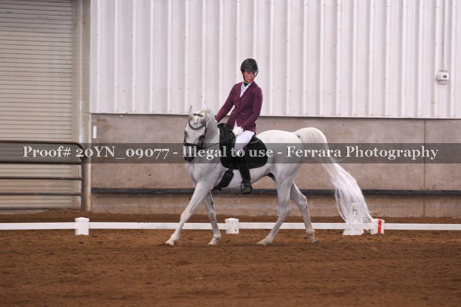 Proof 20YN_09077