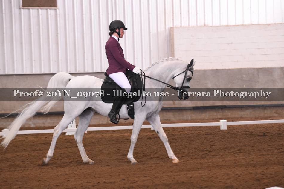 Proof 20YN_09078