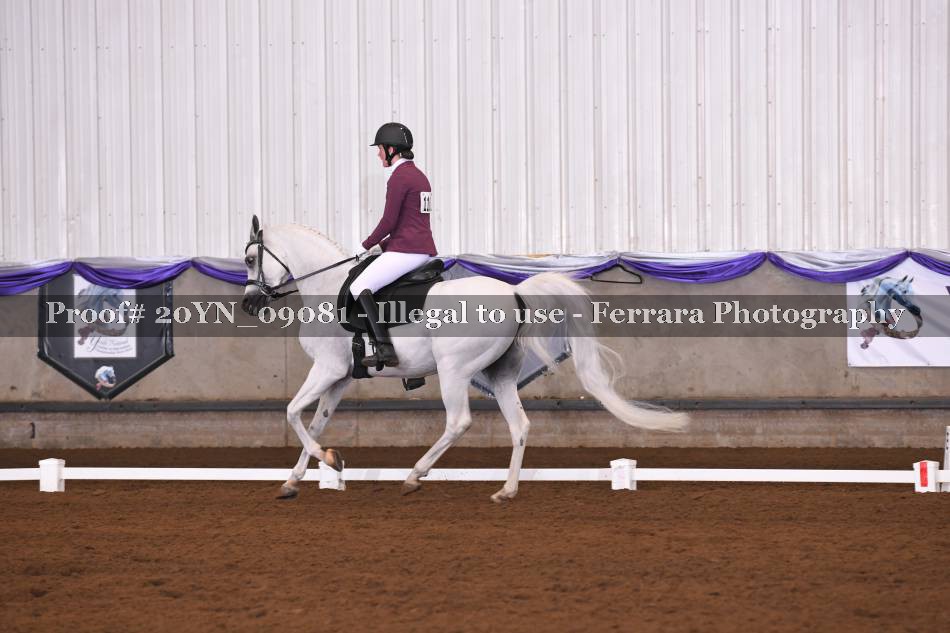 Proof 20YN_09081