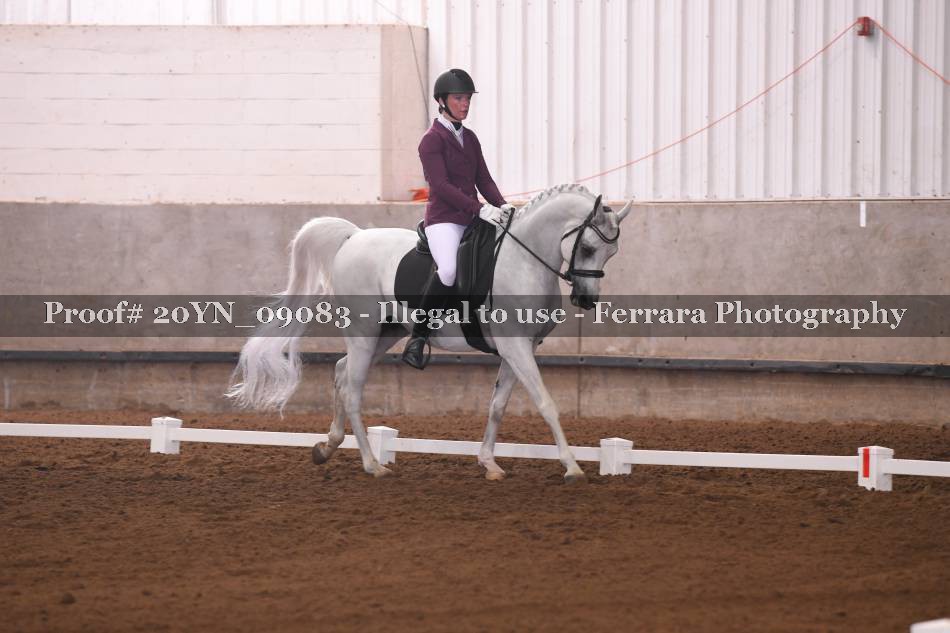 Proof 20YN_09083