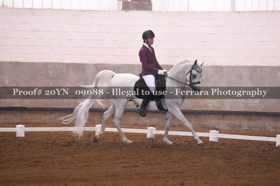 Proof 20YN_09088