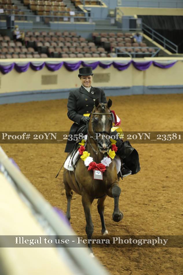 Proof 20YN_23581