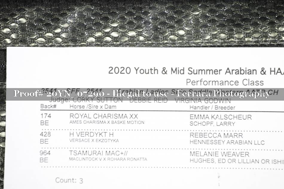 Proof 20YN_07290