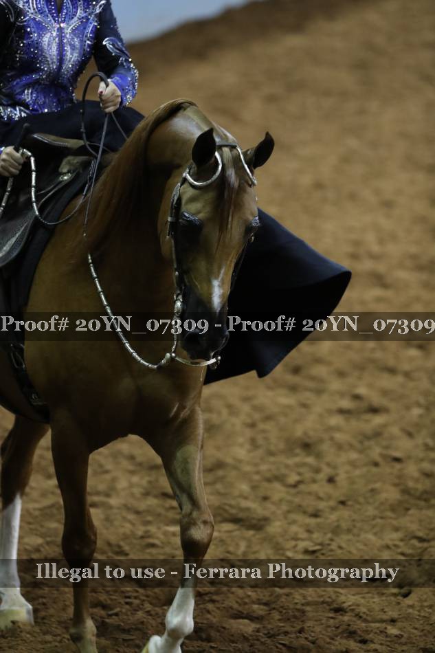 Proof 20YN_07309