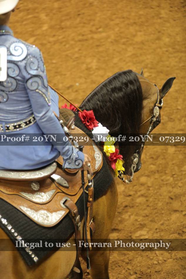 Proof 20YN_07329