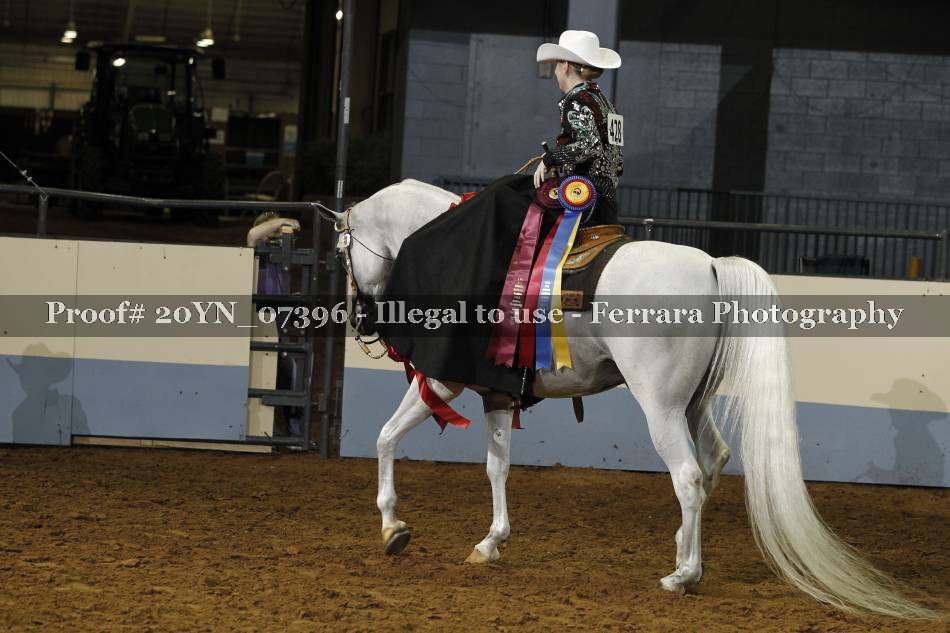 Proof 20YN_07396