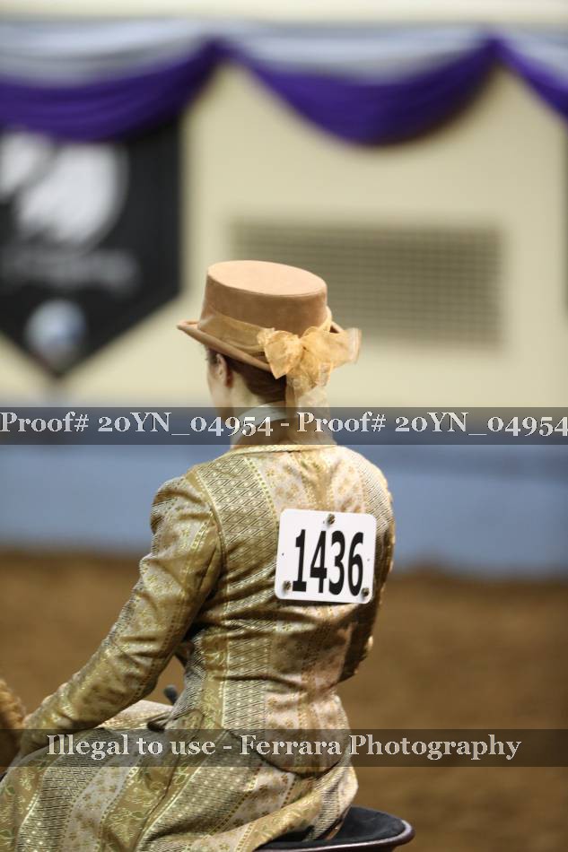 Proof 20YN_04954