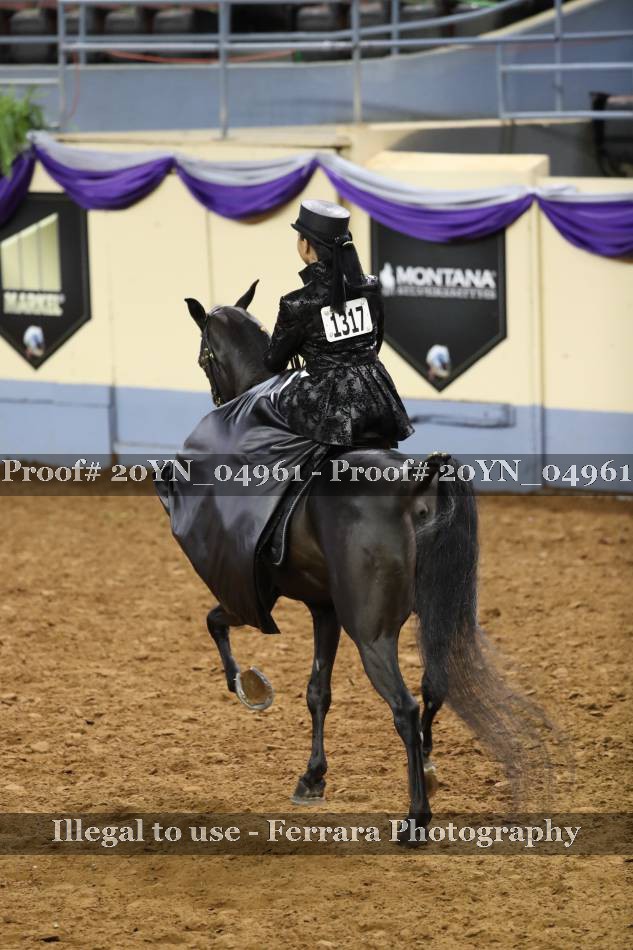 Proof 20YN_04961