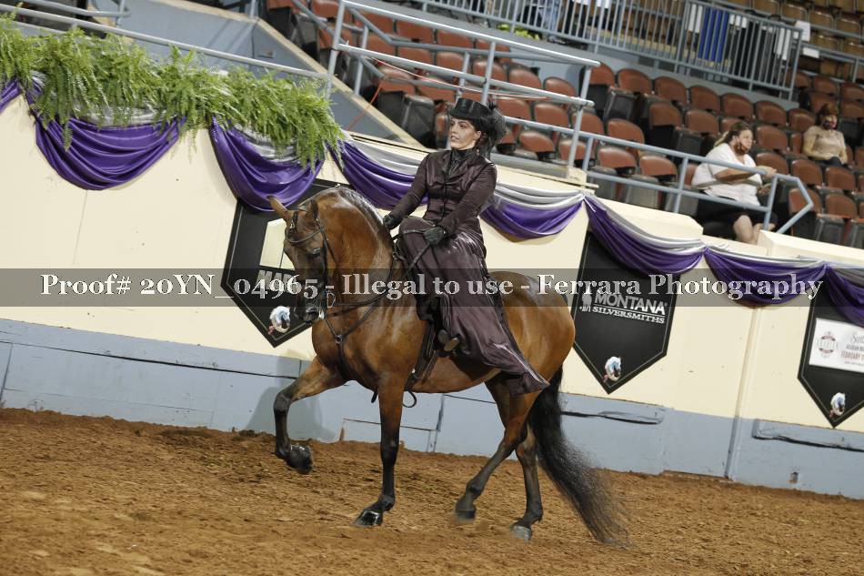 Proof 20YN_04965