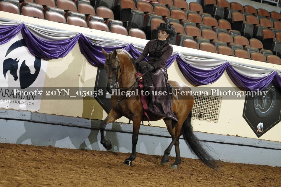 Proof 20YN_05058