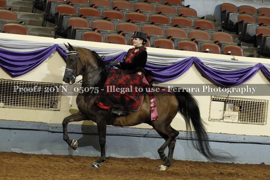 Proof 20YN_05075