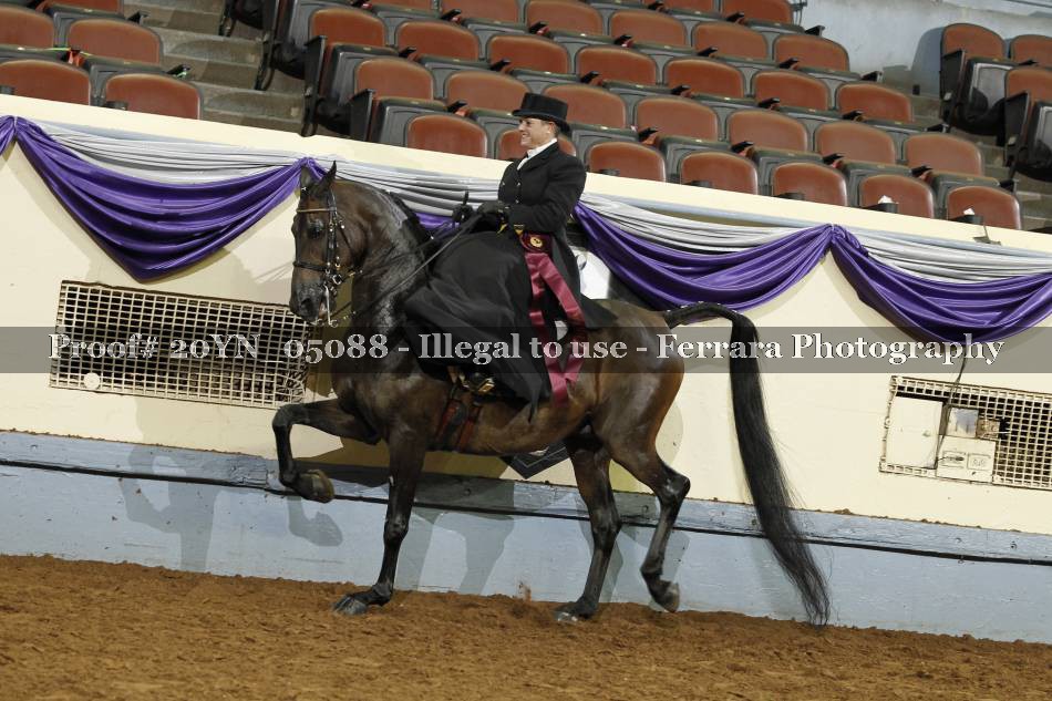 Proof 20YN_05088