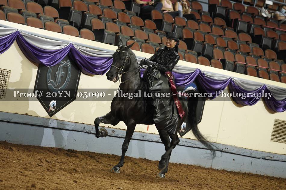 Proof 20YN_05090