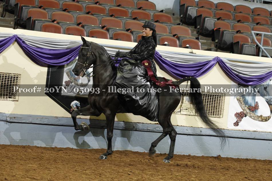 Proof 20YN_05093