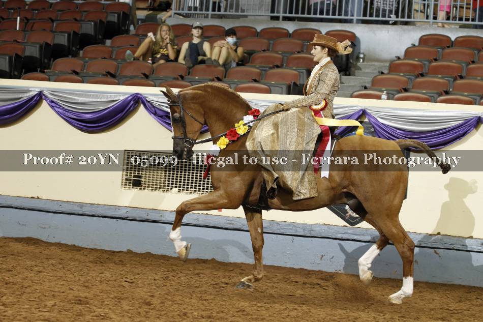 Proof 20YN_05099