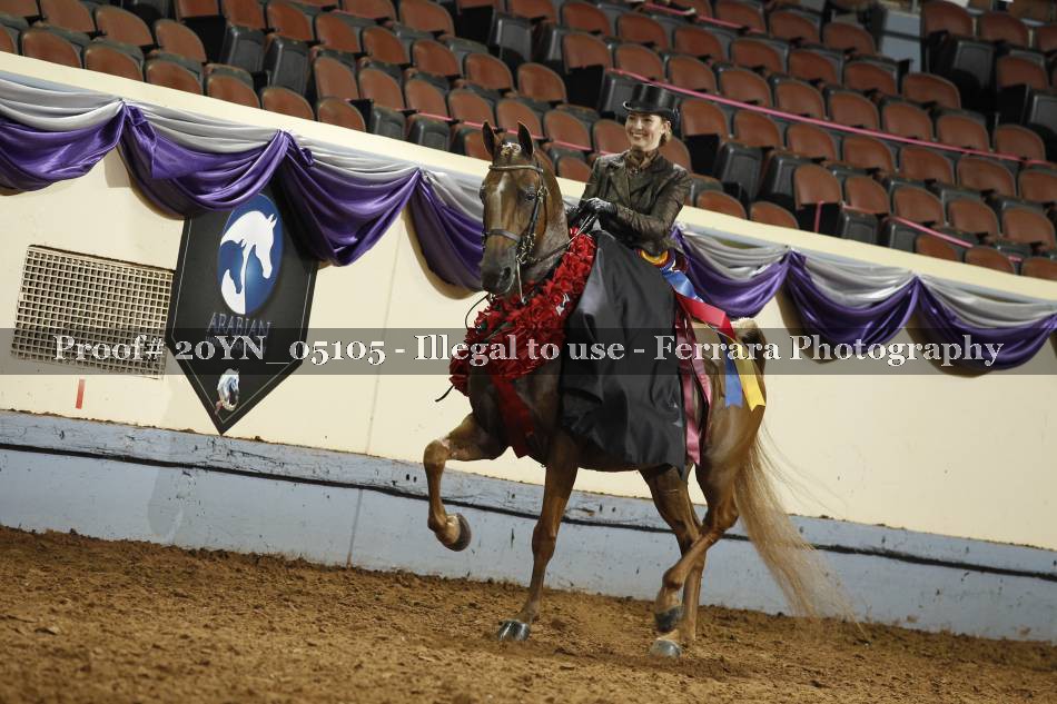 Proof 20YN_05105