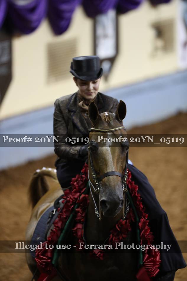 Proof 20YN_05119