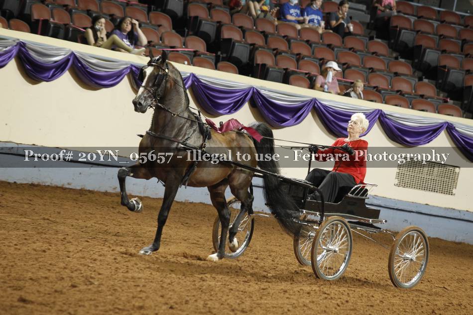 Proof 20YN_05657