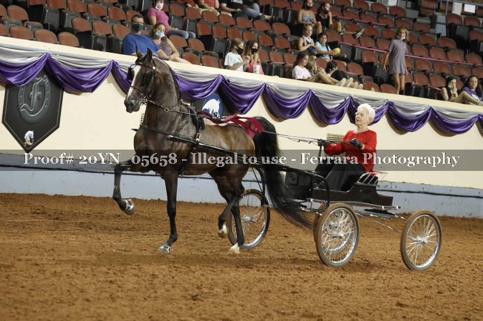 Proof 20YN_05658