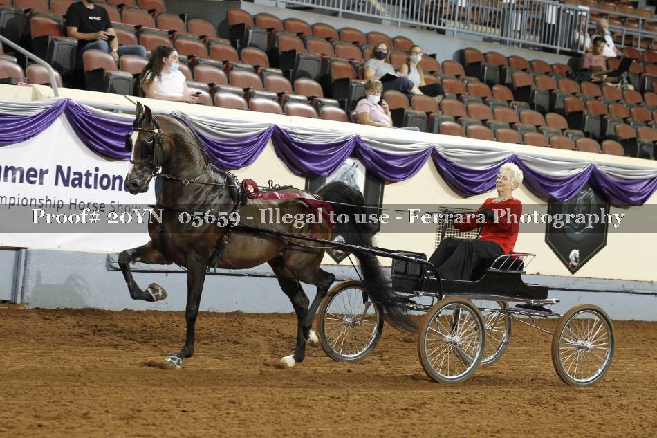 Proof 20YN_05659