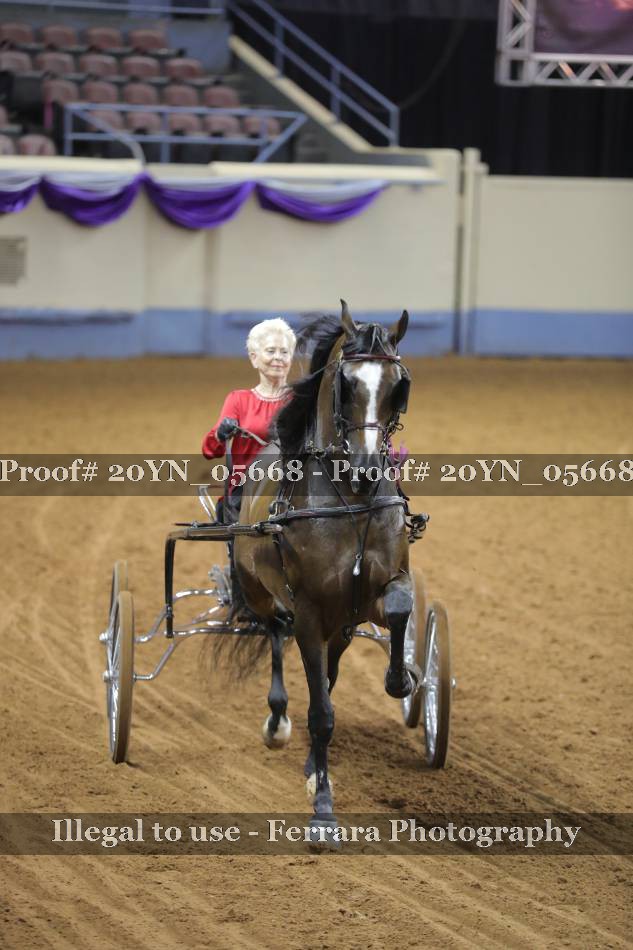 Proof 20YN_05668